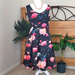 City Chic - XL /Size 22, Black Floral Dress